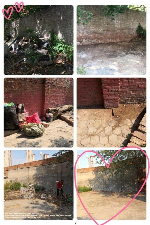 91jiuse海角社区蝌蚪,探索神秘海洋生物的奇幻世界