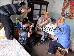 91岁双胞胎猪仔,跨越世纪的传奇猪伴侣