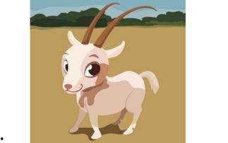 91年属羊出生月份运势,月月运势详解，揭秘生肖羊的运势秘密