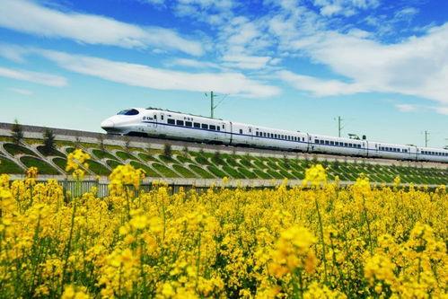 陵水动车91线,穿梭陵水，畅享便捷之旅