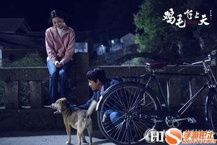 鸡毛飞上天91电影,一部描绘时代变迁与奋斗历程的励志电影